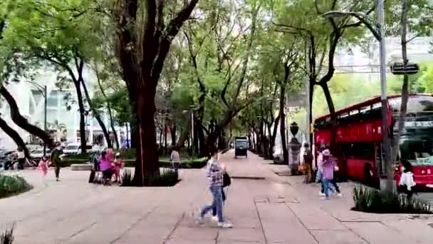 Timelapse Transportul Public Orașul Reforma Mexico — Videoclip de stoc