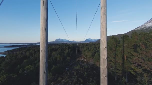 Wooden electric power lines in Norway forestry landscape, FPV fly in middle 