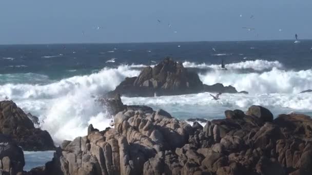 Oceán Sprej Podél Skalnatých Pobřeží Monterey Bay Kalifornie — Stock video