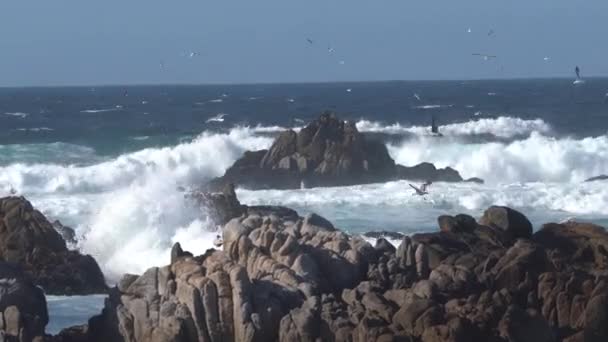 Oceán sprej podél skalnatých pobřeží Monterey Bay, Kalifornie.