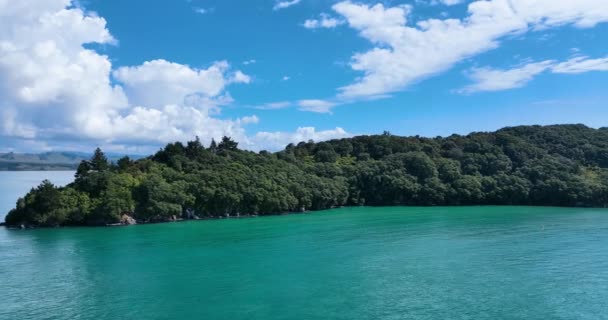 Fly Παράλληλα Καταπράσινο Δάσος Anzac Bay Headland Στο Shelly Bay — Αρχείο Βίντεο