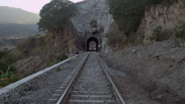 Railroad Tracks Tunnel Alongside Country — Stock Video