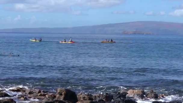 Відпустка Мауї Подорожі Туризм Каяки Плавання — стокове відео