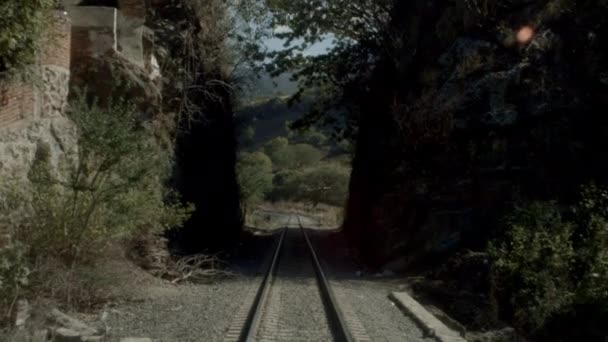 Point View Train Moving Railroad Tracks Alongside Country Crossing Tunnel — Vídeos de Stock