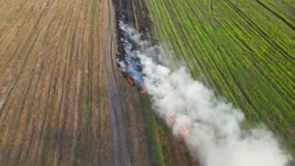 Imagini Aeriene Inverse Iarbă Flăcări Fumatul Alb Creștere Grassland Burning — Videoclip de stoc
