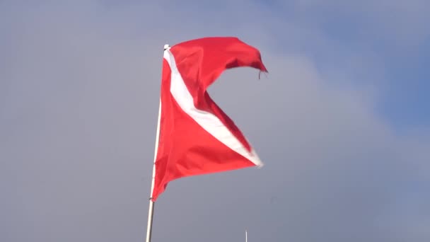 Dive Flag Waves Wind — Video Stock