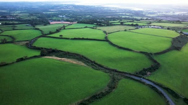 Aerial Fly Lush Green Farmer Fields Gower Drone — Stockvideo