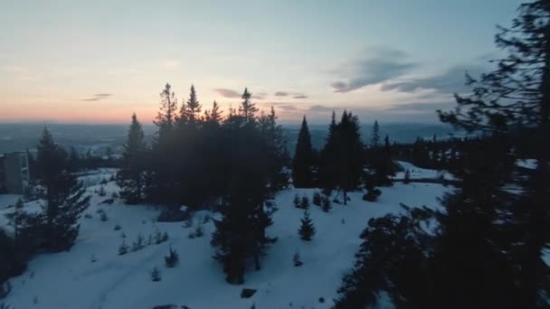 Winterlandschaft Norwegens Beim Fliegen Der Nähe Von Bäumen Mit Einer — Stockvideo