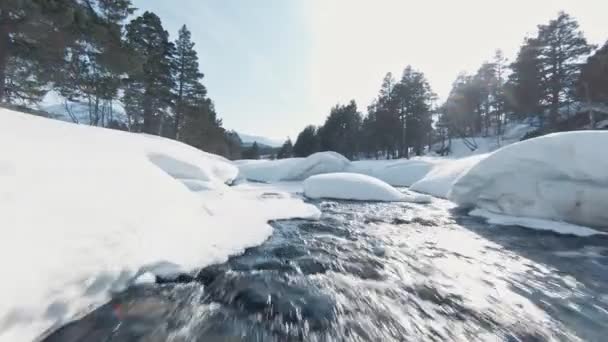 Rio Montanha Floresta Gelada Refletindo Luz Solar Coberto Camada Neve — Vídeo de Stock