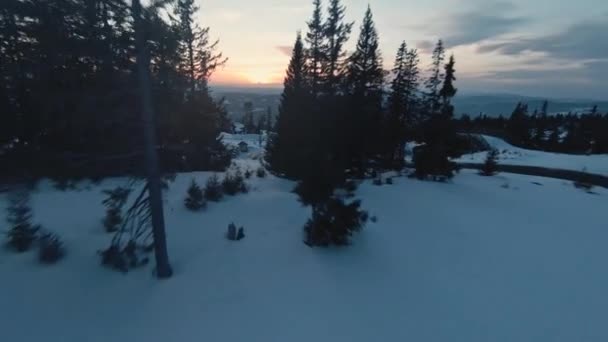 挪威雪地中的卡宾野外度假胜地 Fpv穿越树木 — 图库视频影像