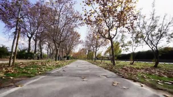 Chůze Osamělé Pěšině Přírodním Prostředí Stromem Zelenou Loukou — Stock video