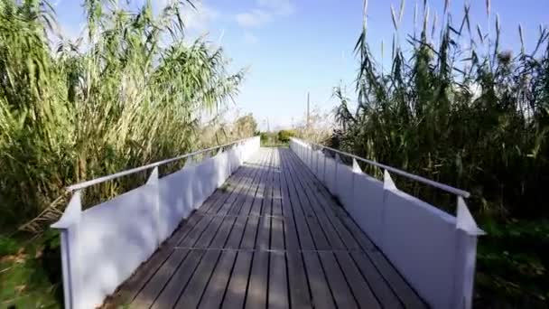 Walking Wooden Bridge Path Crossing Natural Green Environment Sunny Day — Vídeos de Stock