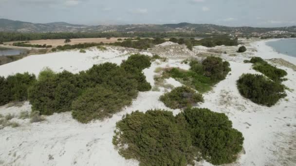 Flygfoto Sanddyner Havet Medelhavet Sardinien Capo Comino — Stockvideo