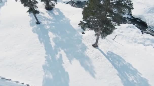 Fpv Flyger Nära Träd Och Stenbro Vintern Norge Landskap Med — Stockvideo