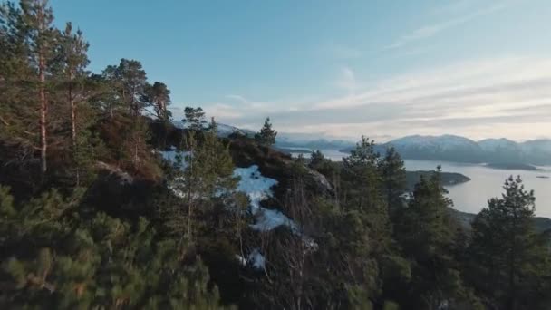 Inverno Montanha Florestal Paisagem Majestosa Noruega Vista Aérea Fpv — Vídeo de Stock