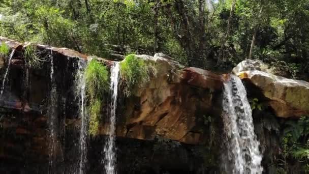 Waterfall Valley Butterflies Thom Das Letras Minas Gerais Brazil — Stock Video