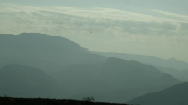 鹰在云雾笼罩的美丽山谷中飞近云彩 — 图库视频影像