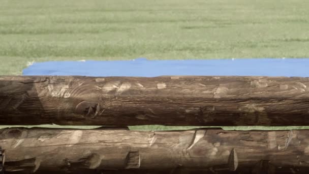 Bullet Hits Special Effect Wood Fence Bluescreen Background — Stockvideo