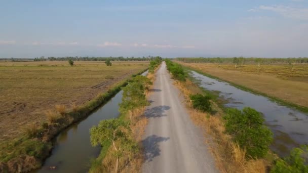 Filmagem Aérea Sobre Uma Estrada Fazenda Towaards Horizonte Pak Pli — Vídeo de Stock