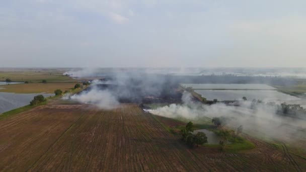 Imagini Aeriene Care Alunecau Spre Stânga Dezvăluind Teren Agricol Flăcări — Videoclip de stoc