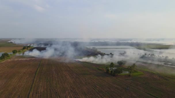 Descending Aerial Footage Revealing Newly Tilled Field Smoke Rising Burning — Vídeos de Stock