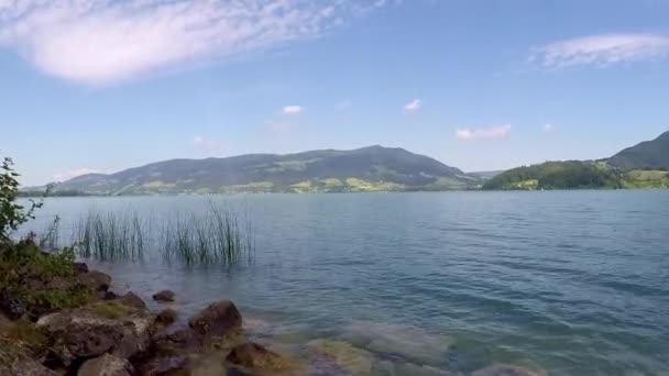 山のあるモンデというオーストリアの美しい湖葦を振って波状の水青い空のある晴れた日すべての優雅な夏の日 — ストック動画