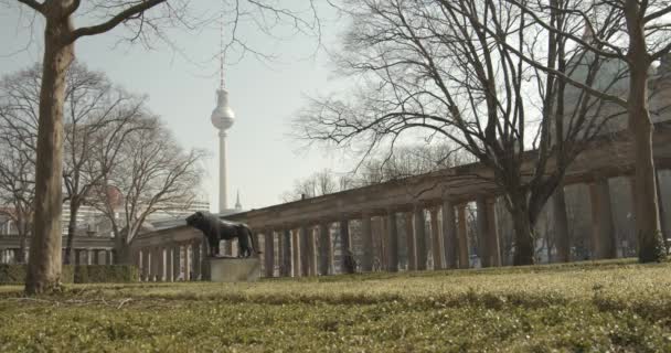 Garden Kolonnaden Innenhof Berlin Museumsinsel Berliner Fernsehturm Background — Stock Video