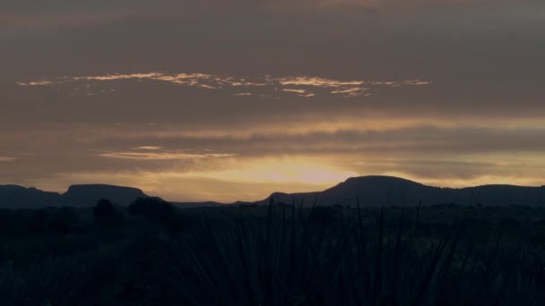 Время Восхода Солнца Между Горами Красивых Долин Текила Халиско Мексика — стоковое видео