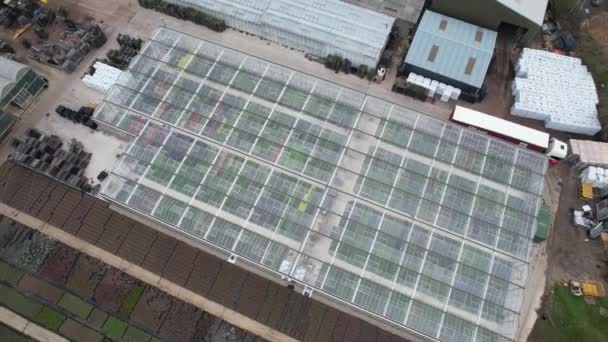 Turning Drone Rising Overhead View Flower Plant Nursery Plant Wholesale — Stockvideo