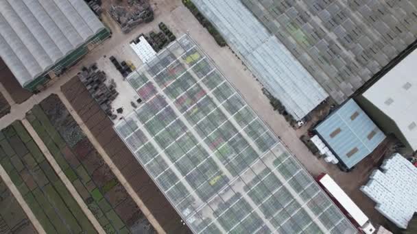 Bloem Plant Kwekerij Plant Groothandel Essex Engeland Top Luchtfoto Drone — Stockvideo
