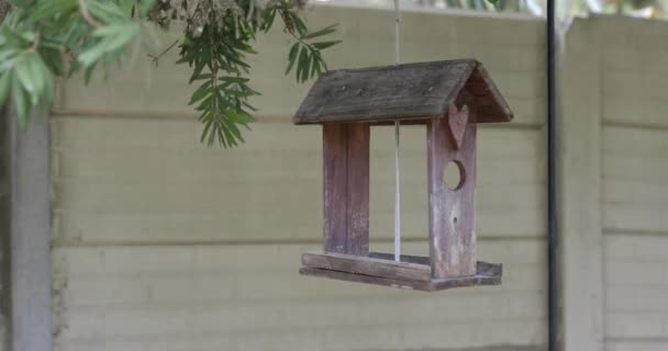 Old Weathered Wooden Handmade Bird Feeder Swings Wind — Vídeos de Stock
