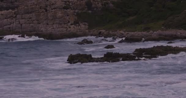 Hindistan Okyanus Dalgaları Hermanus Güney Afrika Daki Kıyı Kayalıklarına Çarpıyor — Stok video