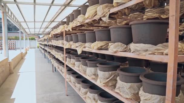 Massive Storage Drying Clay Water Filtering Pots Handheld View — 비디오