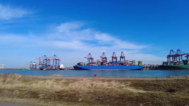 Timelapse Pan Right Cargo Ships Rozładowywane Ruchliwym Terminalu Euromax Rotterdamie — Wideo stockowe