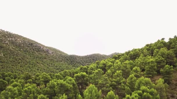 Munți Maiestuoși Acoperiți Grosime Densă Lângă Țară Aerial Pullback — Videoclip de stoc
