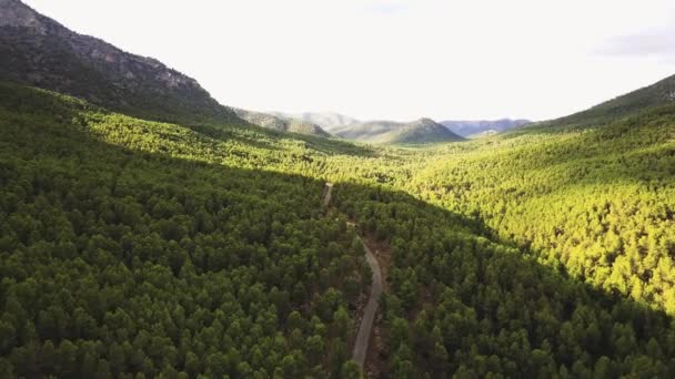 狭い道路や山々と常緑樹の森のビスタ 空中ワイドショット — ストック動画