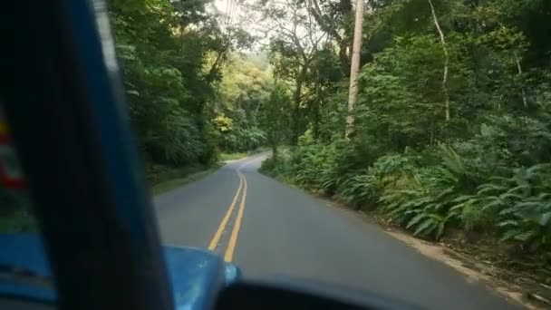 Inneren Eines Autos Das Auf Einer Asphaltierten Straße Dschungel Von — Stockvideo