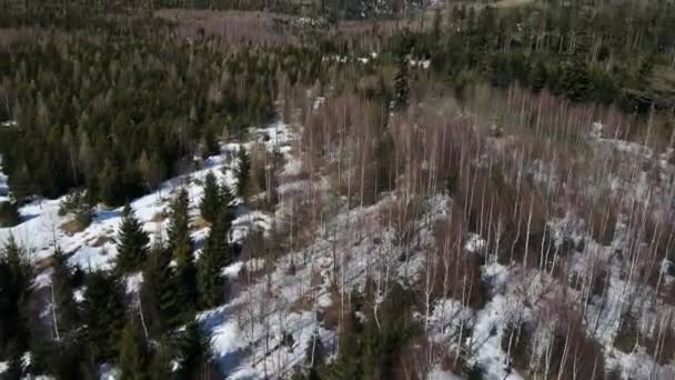 Výstřel Dronu Pořízený Pochodu Vysokých Horách — Stock video