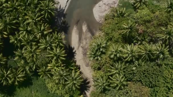 Luftaufnahme Über Einer Pfütze Und Palmen Einem Strand Puntarenas Costa — Stockvideo