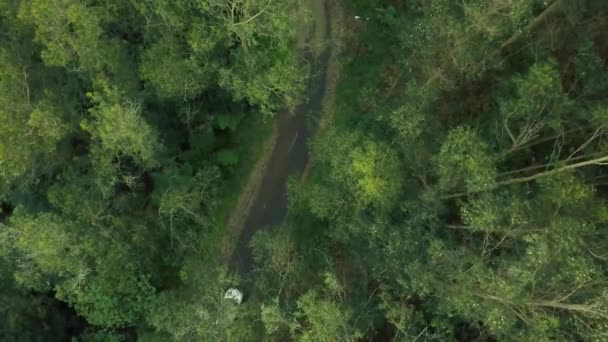 White Car Driving Country Woodlands Lush Green Foliage Aerial — Stockvideo