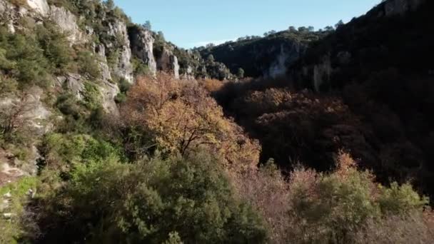 Vista Bosque Pinos Sur Alemania Con Acantilados Rocosos Forst Visto — Vídeos de Stock