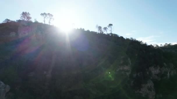 Bird View Pine Forest South Germany Rock Cliffs Backlighted Sun — Wideo stockowe