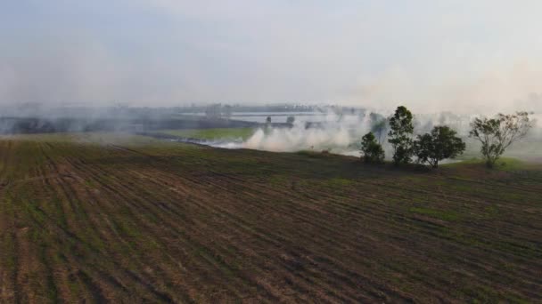 Imagini Aeriene Stabile Ale Unui Teren Agricol Apoi Arzând Timp — Videoclip de stoc