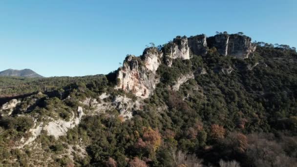 Vista Bosque Pinos Sur Alemania Con Acantilados Rocosos Forst Visto — Vídeos de Stock