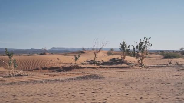 Driving Deadly Sahara Desert Morocco Side Motion View — Vídeo de stock