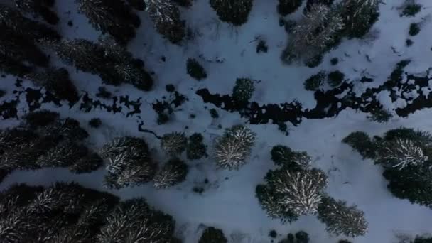 森林中几乎结冰的河流的自上而下的空中 无人驾驶飞机缓慢地上升 — 图库视频影像