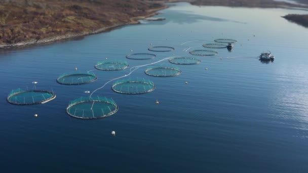 Uma Quinta Salmão Fiorde Norueguês Vista Aérea Pan Para Frente — Vídeo de Stock