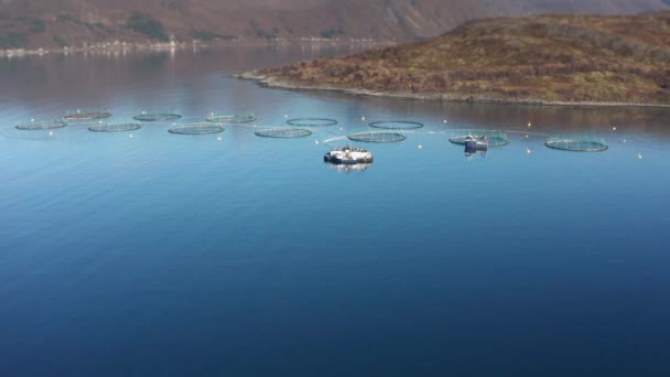Salmon Farm Norwegian Fjord Aerial View — Vídeo de stock