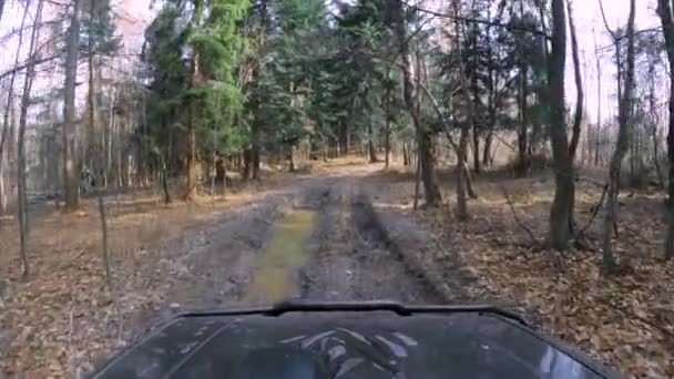 Road Car Driving Stunning Forest Mud Leafs Dirty Road Gopro — Vídeos de Stock