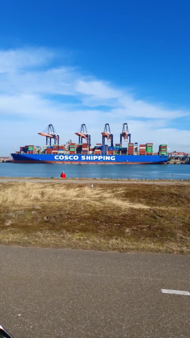 Σκάφος Cosco Βυθίστηκε Στον Τερματικό Σταθμό Euromax Γερανούς Πεζικού Που — Αρχείο Βίντεο